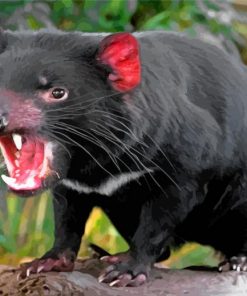 tasmanian-devil-paint-by-number