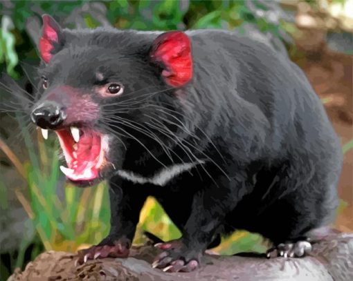 tasmanian-devil-paint-by-number