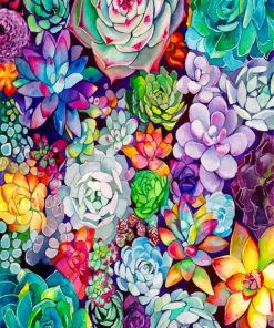 succulents-Plants-paint-by-numbers