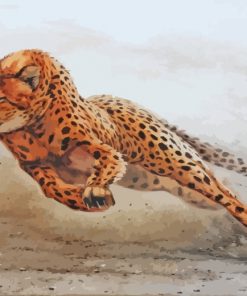 Cheetah Running Paint by numbers