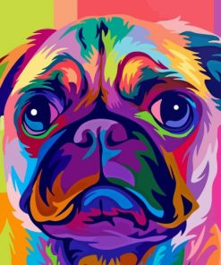 Colorful Pug Dog paint by numbers