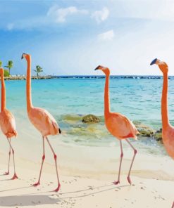 Flamingos In Aruba Beach paint by numbers