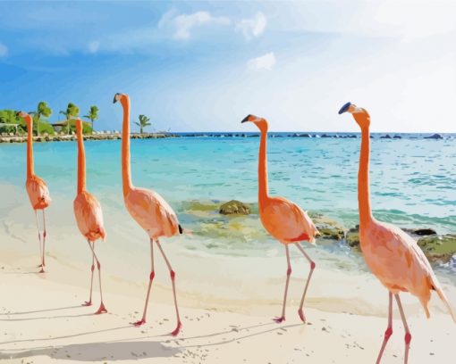 Flamingos In Aruba Beach paint by numbers