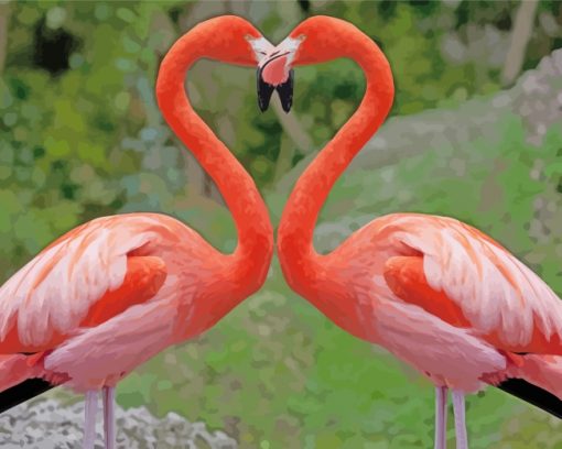 Flamingos Love paint by numbers