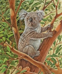 Koala Animal paint by numbers