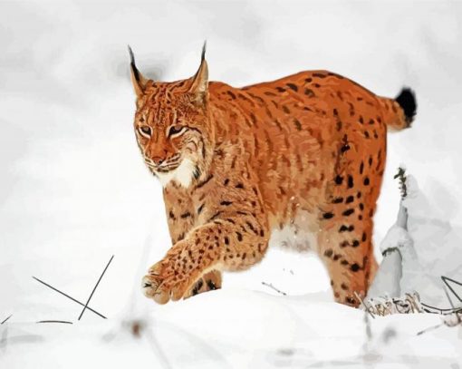 Lynx Animal paint by numbers