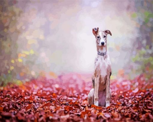 White Lurcher Puppy paint by numbers