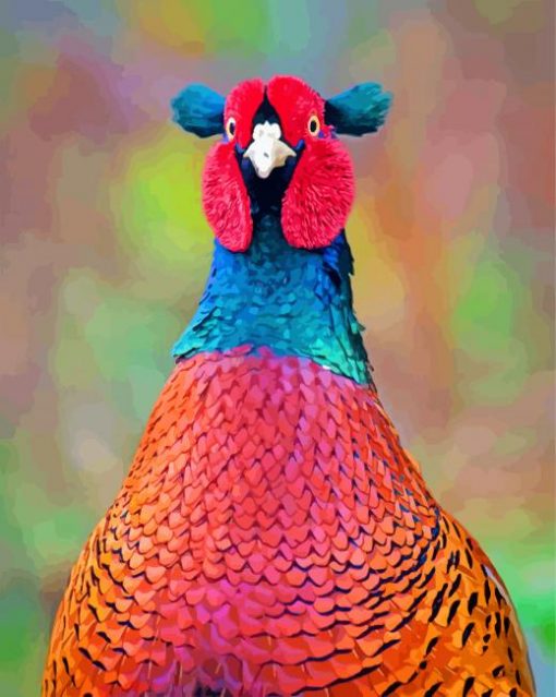 Pheasant Bird paint by numbers