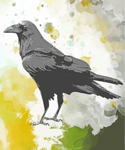 Raven Bird Art paint by numbers