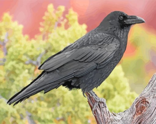 Raven Bird paint by numbers