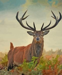 Wild Stag Animal paint by numbers