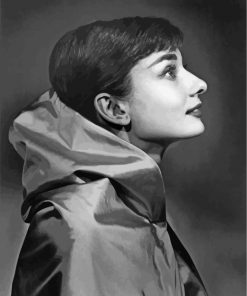 Audrey Hepburn Monochrome paint by numbers