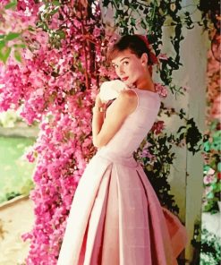 Audrey Hepburn Pink Dress paint by numbers