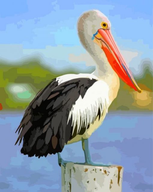 Black And White Pelican paint by numbers