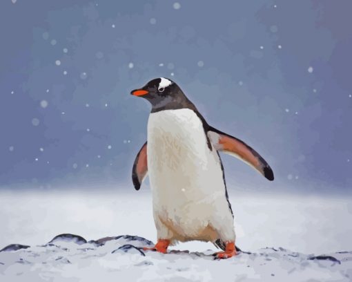 Gentoo Penguin Bird Paint by numbers