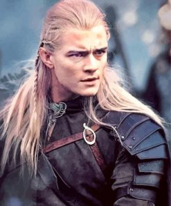 Sindar Elf Legolas paint by numbers