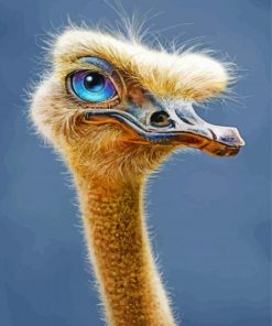 Ostrich With Blue Eyes paint by numbers