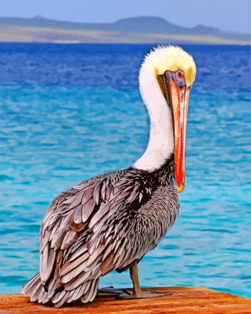 Pelican Bird paint by numbers