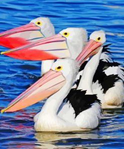 Pelicans In The Water paint by numbers