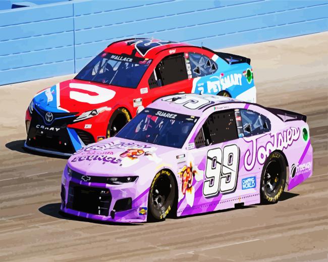 Racing Cars Nascar paint by numbers