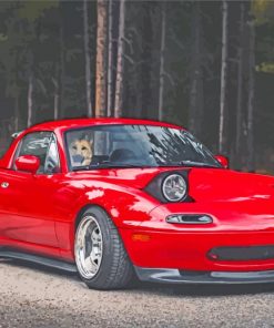 Red Miata paint by numbers