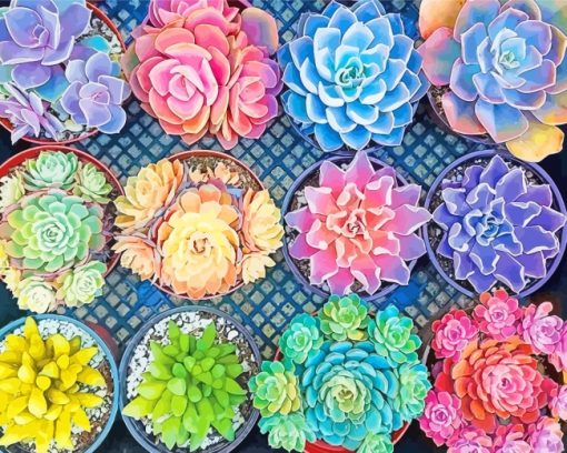 Succulent Pots paint by numbers