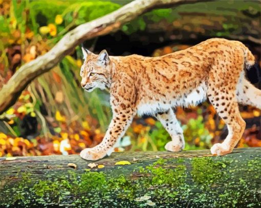 Wild Lynx paint by numbers