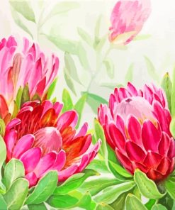 Blooming Pink Protea paint by numbers