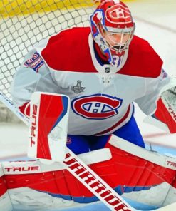 Carey Price From Habs paint by numbers