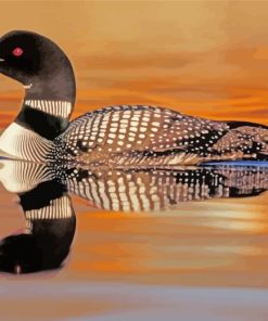 Common Loon paint by numbers