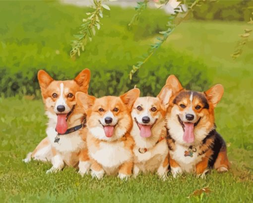 Corgi Puppies paint by numbers