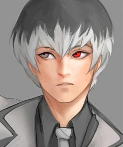 Haise Sasaki Tokyo Ghoul paint by numbers