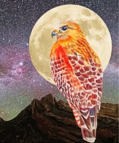 Hawk Bird Moonlight paint by numbers