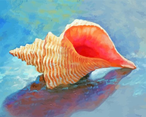 Horse Conch Shell paint by numbers