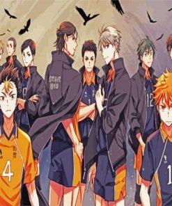 Karasuno High School Anime paint by numbers