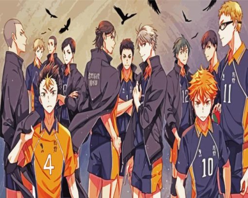 Karasuno High School Anime paint by numbers