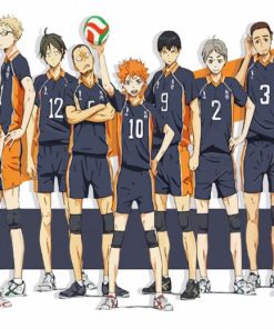 Karasuno High Anime paint by numbers