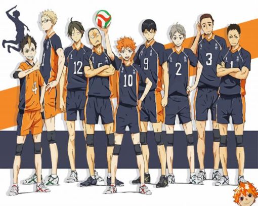 Karasuno High Anime paint by numbers