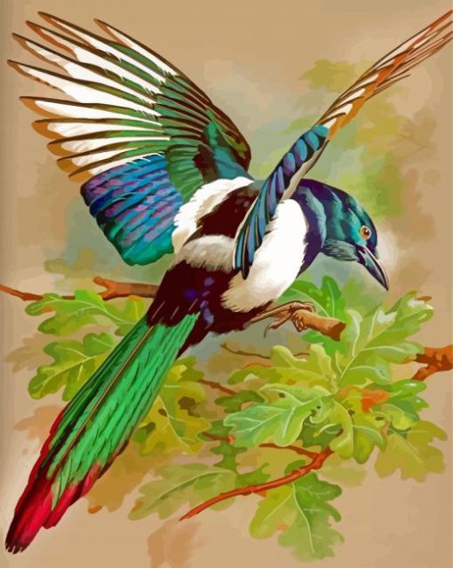 Magpie paint by numbers