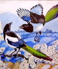 Magpies Birds Illustration paint by numbers