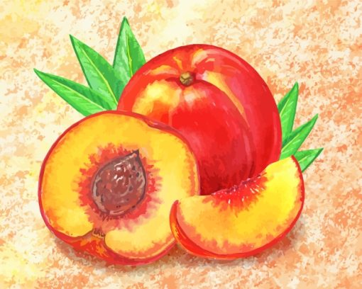 Peach Fruit Art paint by numbers