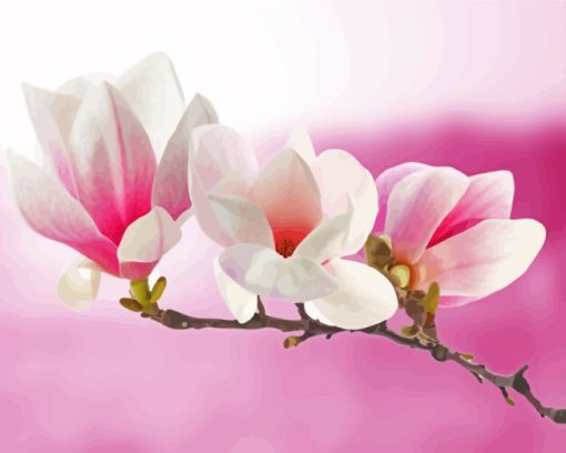 Pink White Magnolia Plant paint by numbers