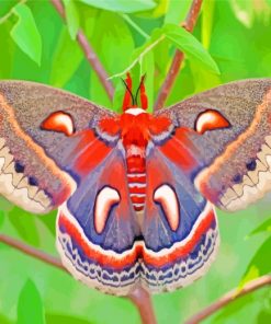 Polyphemus Moth paint by numbers