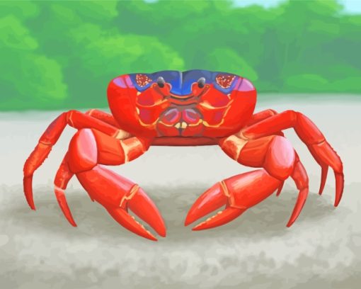 Red Crab Art paint by numbers