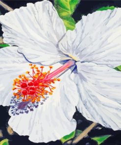 White Hibiscus Flower Art paint by numbers