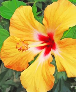 Yellow Hibiscus paint by numbers