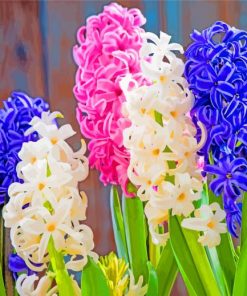 Beautiful Hyacinth Flowers paint by numbers