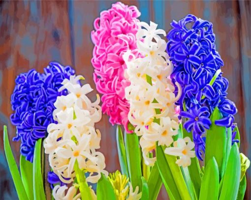 Beautiful Hyacinth Flowers paint by numbers