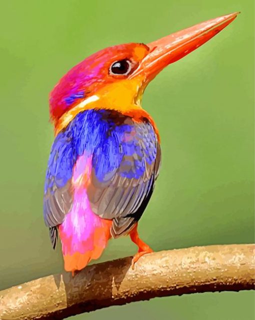 Colorful Kingfisher paint by numbers