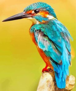 Kingfisher paint by numbers